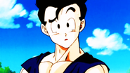 Gohan still remembers that Chi-Chi has change since his father die