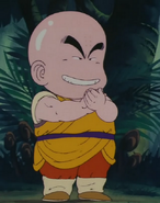 Kuririn decides to cheat during his training