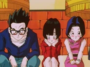 Chi-Chi with Gohan and Videl