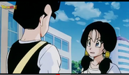 Videl is talking with Gohan not having a bruised on his face