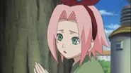 Sakura wonders where Ino, Shikamaru and Choji are going.
