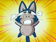 Puar