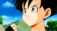 Videl with courage and confidence