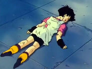 Videl exhausting laying on the ground