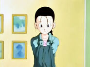 Adult Videl In Dragon Ball GT