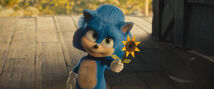 SonicMovie Flower