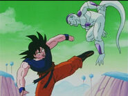 Dbz92-23