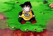 Dragon-ball-z-puntata-006-padre-e-figlio-si-allenano