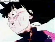 Chi-Chi got slapped by Perfect Cell in Gohan's nightmare