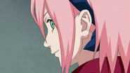 Sakura telling Naruto that the next time he goes to find Sasuke, that they will go together.