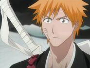 Bleach 146-148