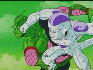 Dbz94-47