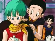 Bulma with Chi-Chi