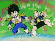 Dbz77-24