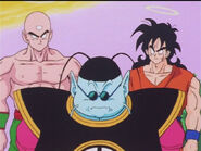 Dbz81-01