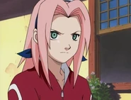 Sakura sees Ino outside of her clan's flower shop.
