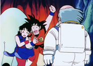 Chi-Chi and Goku are happy