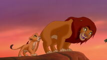 Simba | Japanese Anime Wiki | Fandom