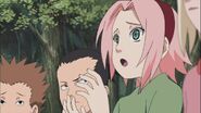 Sakura trying to explain the situation to Naruto.