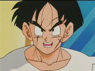 Dbz118-07