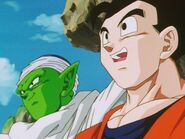 Gohan is happy Buu is gone