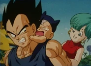 Bulma with her family