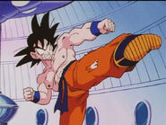 Dbz58-08