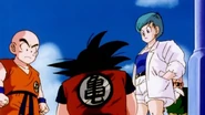 Bulma hates that Goku has a horrible older brother
