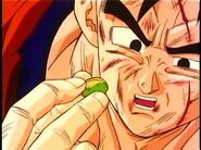 Future Gohan decides to give the last Senzu Bean to Trunks.