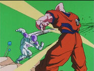 Dbz87-39