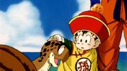 Gohan about to pet Turtle