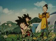 Gohan with his family