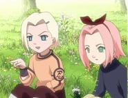 Sakura hears Ino describe a cosmo compare to a flower.