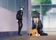 Kyo hears Tohru say that she is sorry for turning him into his cat form.
