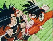 Goku vs. Raditz