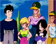 Videl with Gohan and her friends