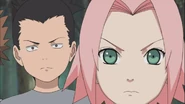 Shikamaru looking at Naruto.