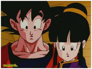 Chi-Chi and Goku