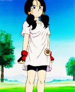 Videl learning how to fly