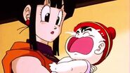 Chi-Chi sees Gohan cries as he hears his grandfathers supposed names.