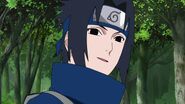 Sasuke calls Naruto a scary cat.