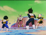 Vegeta and the group go to round two