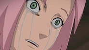 Sakura is shock as Sai tells her that it's not only Sasuke that is making Naruto suffer, but her as well.