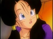 Videl saw the Great Saiyaman