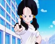 Videl saw the Great Saiyaman save a baby Chioi to return his parents