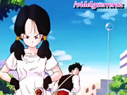 Videl missed the action first appears on the Majin Buu saga