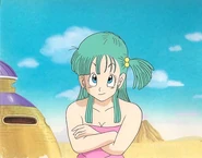 Bulma was happy that Goku see his deceased grandfather, Grandpa Gohan