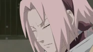 Sakura silently tells Naruto that she is truly sorry for making him suffer.