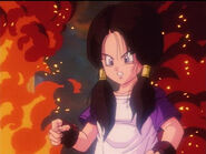 Videl tries again