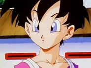 Videl with short hair and tournament outfit